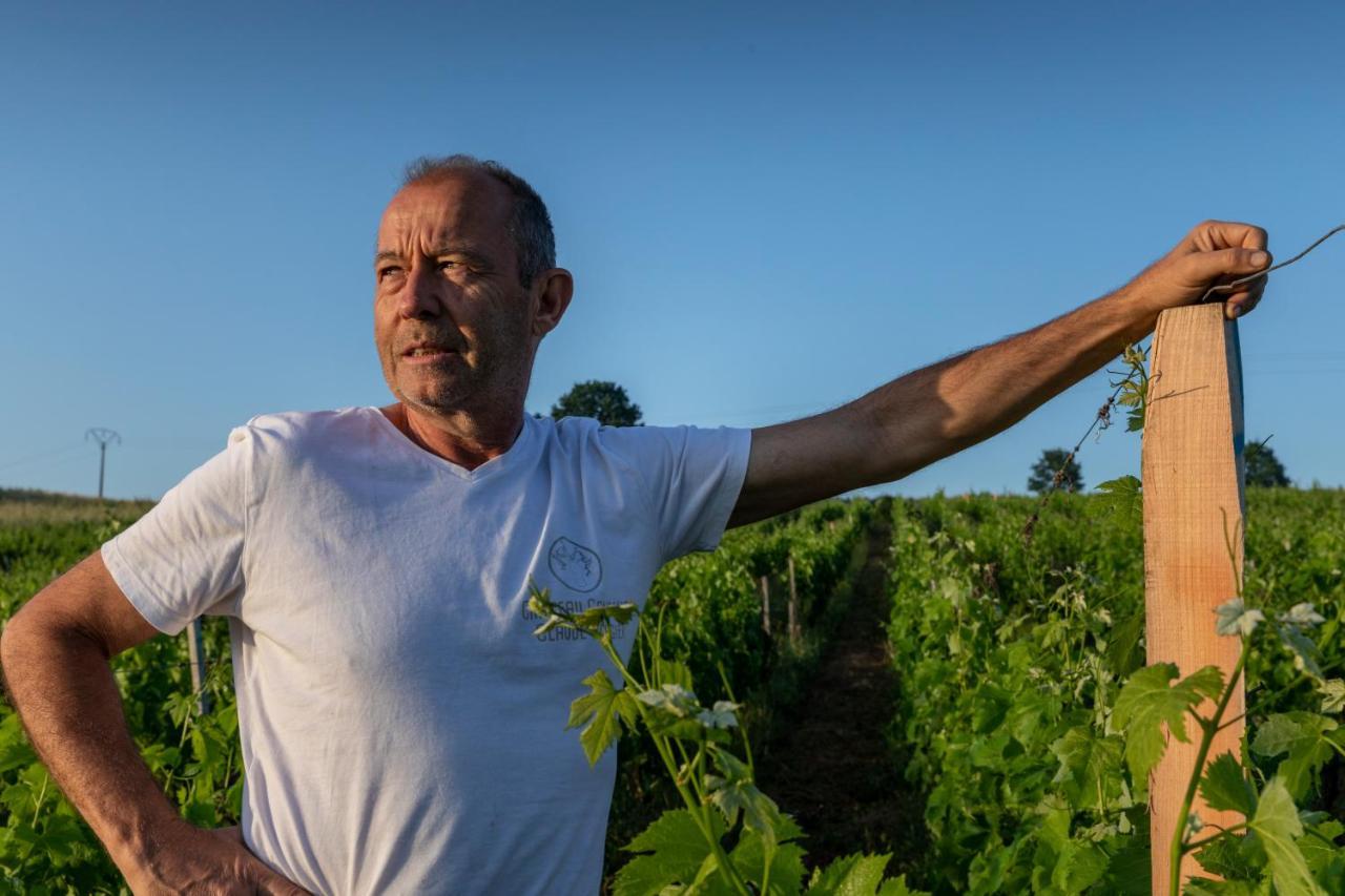 Suite Campagnarde Pres Bordeaux, Vue Sur Les Vignes Au Chateau Camponac Bourg-sur-Gironde Exteriér fotografie